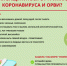 Грипп, коронавирусная инфекция и другие острые респираторные вирусные инфекции (ОРВИ) - Кувандыкский городской округ