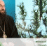 Епископ Орский и Гайский Ириней стал гостем телепередачи на телеканале  «Союз» - SKiM56.Ru