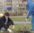 Куратор проекта городской среды Валентин Купинов посадил в кувандыкском парке молодые липы, а на набережной - березки - Кувандыкский городской округ
