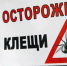 Остoрожно — клещи! - SKiM56.Ru