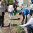 В Кувандыке высажен Парк памяти героев СВО - Кувандыкский городской округ