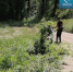 В Кувандыке проводится плановый окос травы - Кувандыкский городской округ