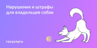 Без поводка и лает: как хозяева собак нарушают права соседей и что с этим делать - Кувандыкский городской округ