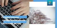 Оперативное предупреждение: сильный ветер - Кувандыкский городской округ