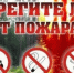 Напоминаем о правилах поведения в лесу и на природе - Кувандыкский городской округ
