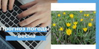 Прогноз погоды с 26 по 28 мая - Кувандыкский городской округ