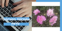 Прогноз погоды с 19 по 21 июня - Кувандыкский городской округ