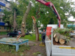 Сотрудники ПЭО продолжают окашивать территорию города и ликвидировать последствия урагана
