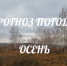 Прогноз погоды с 17 по 19 ноября - Кувандыкский городской округ