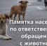 Памятка населению по ответственному обращению с животными - Кувандыкский городской округ